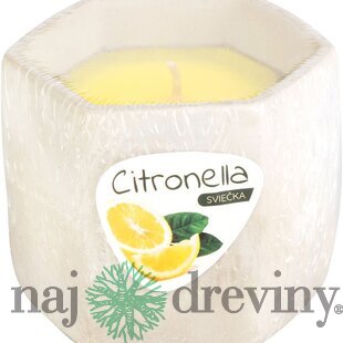 Sviečka Citronella, cement, 85 g, repelentná, 90x75 mm