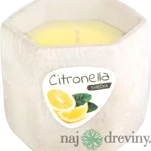 Sviečka Citronella, cement, 85 g, repelentná, 90x75 mm