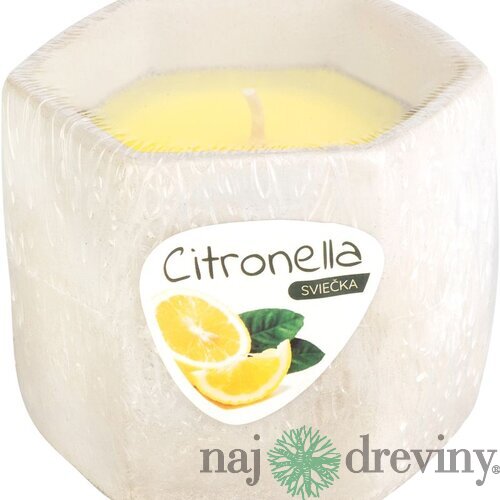 Sviečka Citronella, cement, 85 g, repelentná, 90x75 mm