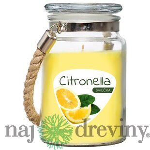 Sviečka Citronella, repelentná, v skle, 140 g, 85x105 mm