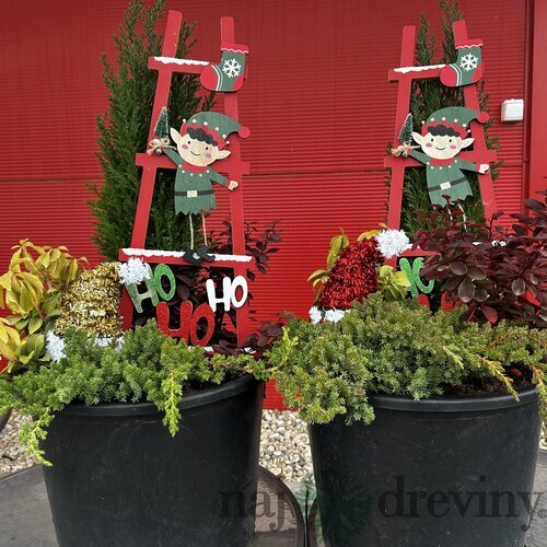 Svietiaci vianočný aranžmán, výška 100/110 cm, v črepníku