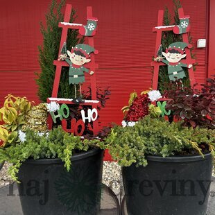 Svietiaci vianočný aranžmán, výška 100/110 cm, v črepníku