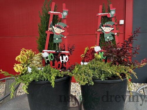 Svietiaci vianočný aranžmán, výška 100/110 cm, v črepníku