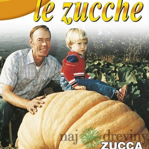 Tekvica okrasná - ATLANTIC GIANT