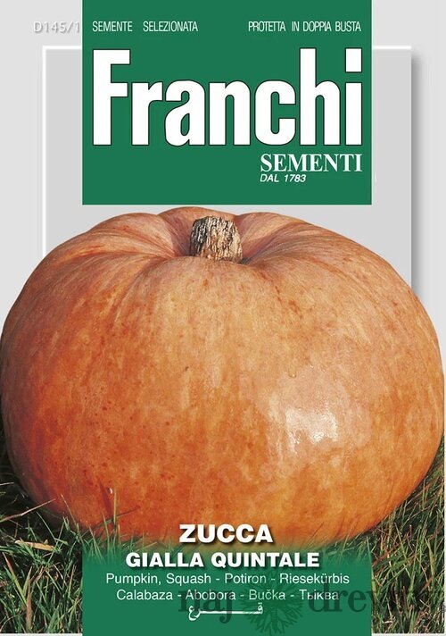 Tekvica - QUINTALE SEME GIALLO - semená 4gr.