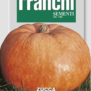 Tekvica - QUINTALE SEME GIALLO - semená 4gr.