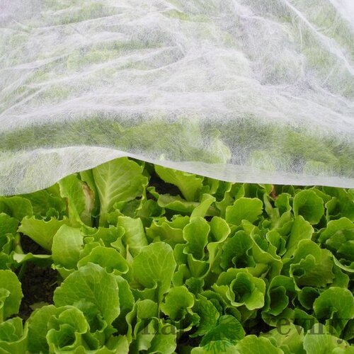 Textília Garden B1106 2x5 m, netkaná, 17 g/m, biela