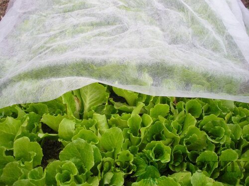 Textília Garden B1106 2x5 m, netkaná, 17 g/m, biela