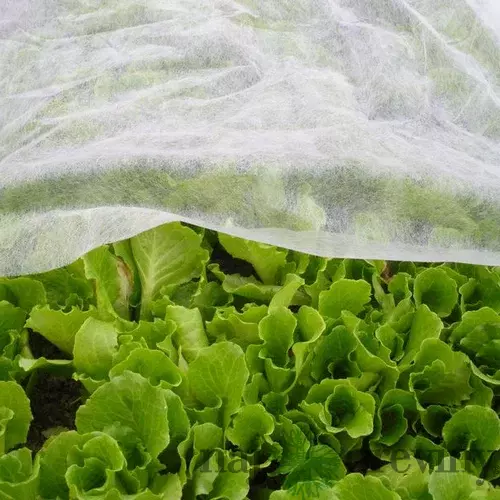 Textília Garden B1106 3,2x10 m, netkaná, 17 g/m, biela