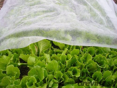 Textília Garden B1106 3,2x5 m, netkaná, 17 g/m, biela