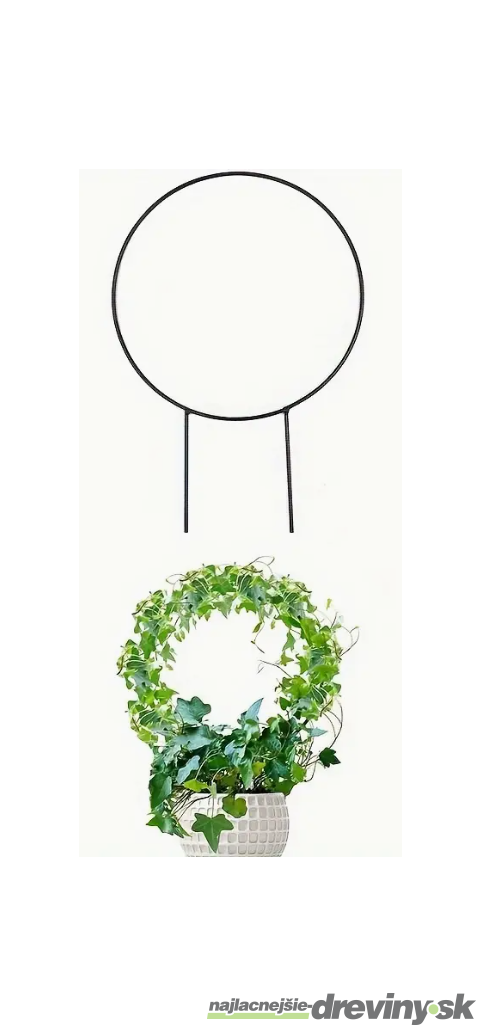 Topiary - kruh 23x33