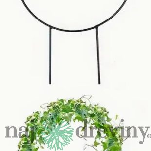 Topiary - kruh 23x33