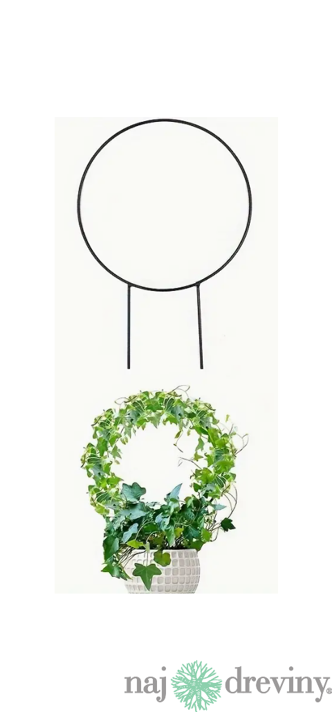 Topiary - kruh 23x33