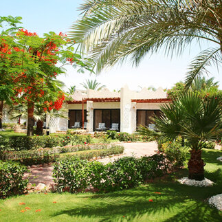 Tropické rastliny v okrasnej záhrade