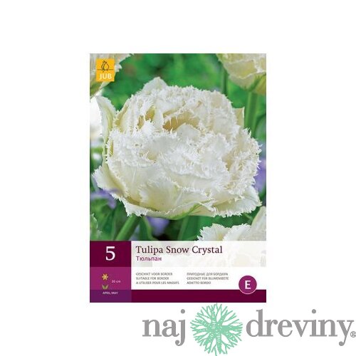 Tulipán ´Snow Crystal´, 5 ks v balení SNOW CRYSTAL
