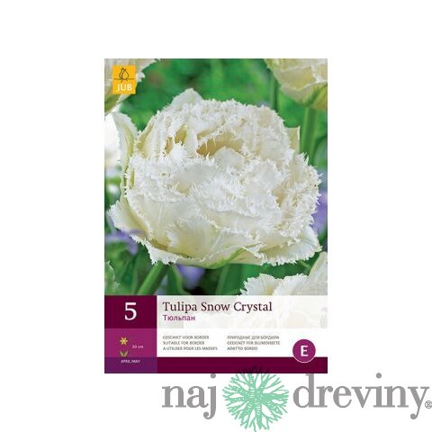 Tulipán ´Snow Crystal´, 5 ks v balení SNOW CRYSTAL