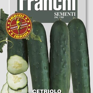 Uhorka šalátová - SAKAMARI F1 - semená