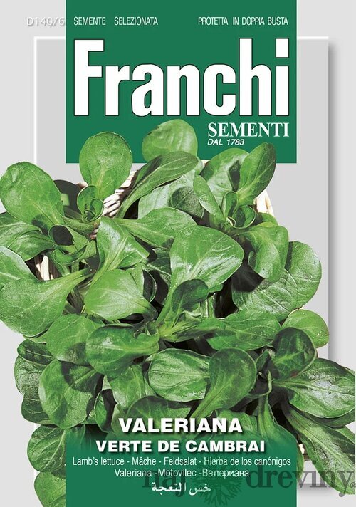 Valeriánka - VERTE DE CAMBRAI - semená, 5 gramov