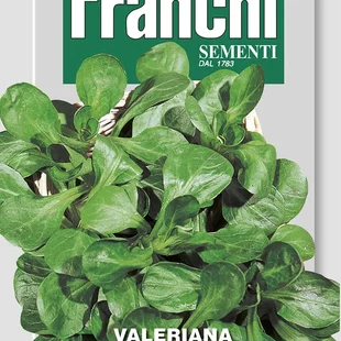 Valeriánka - VERTE DE CAMBRAI - semená, 5 gramov