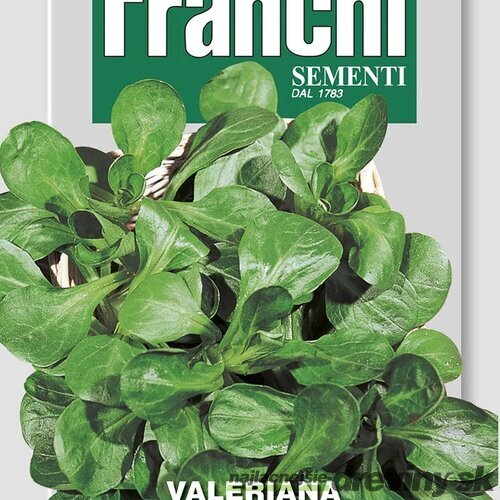 Valeriánka - VERTE DE CAMBRAI - semená, 5 gramov