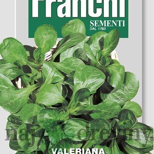 Valeriánka - VERTE DE CAMBRAI - semená, 5 gramov