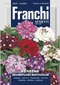 Verbena -železník – GRANDIFLORA MIX