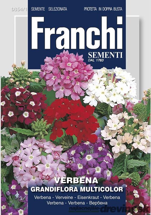 Verbena -železník – GRANDIFLORA MIX