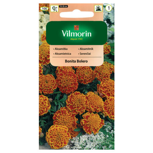 Vilmorin Aksamietnica Bonita Bolero