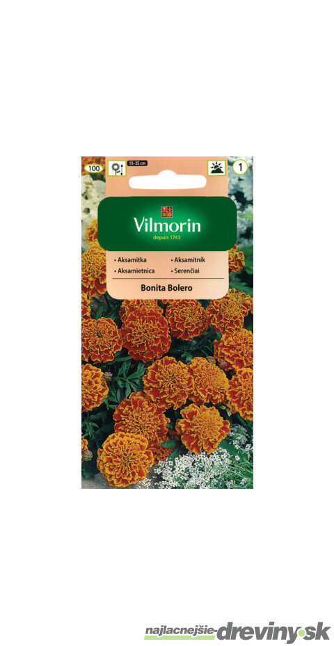 Vilmorin Aksamietnica Bonita Bolero