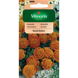 Vilmorin Aksamietnica Bonita Bolero
