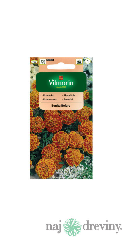 Vilmorin Aksamietnica Bonita Bolero