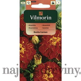 Vilmorin Aksamietnica Bonita Carmen