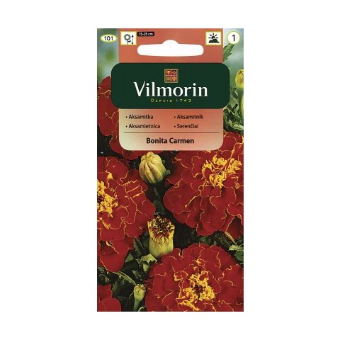 Vilmorin Aksamietnica Bonita Carmen