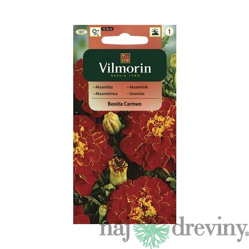 Vilmorin Aksamietnica Bonita Carmen