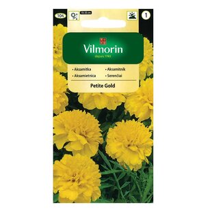 Vilmorin Aksamietnica Petite Gold