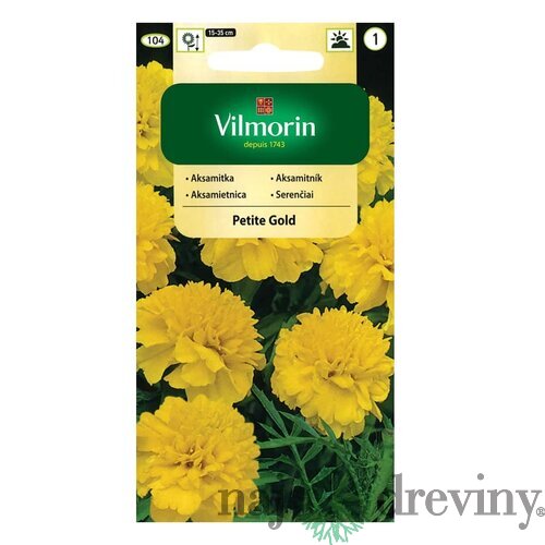 Vilmorin Aksamietnica Petite Gold