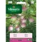 Vilmorin Albízia semiačka 5 g