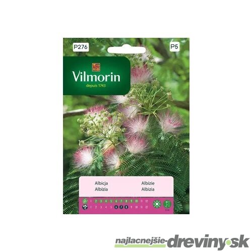 Vilmorin Albízia semiačka 5 g