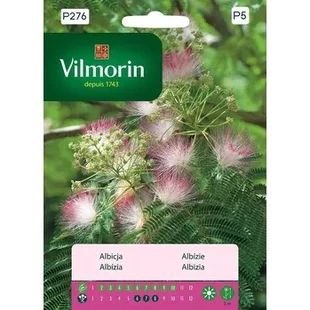 Vilmorin Albízia semiačka 5 g