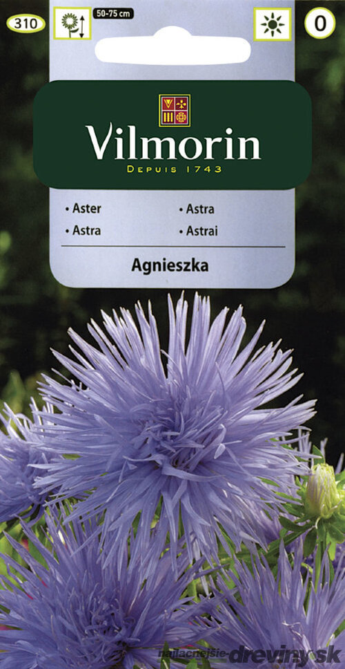 Vilmorin Astrovka čínska semiačka Agnieszka