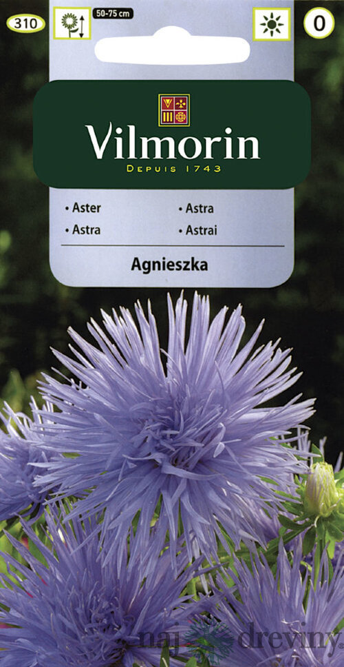 Vilmorin Astrovka čínska semiačka Agnieszka