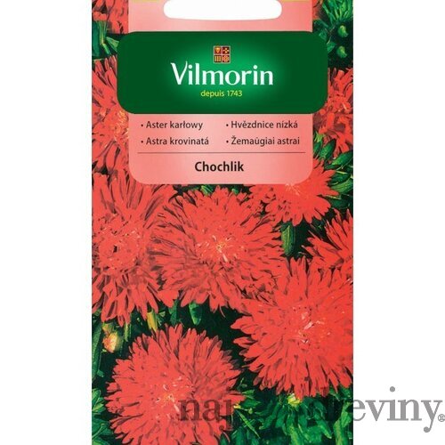 Vilmorin Astrovka čínska semiačka Chochlik