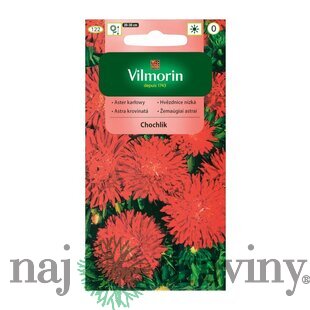 Vilmorin Astrovka čínska semiačka Chochlik
