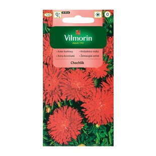 Vilmorin Astrovka čínska semiačka Chochlik