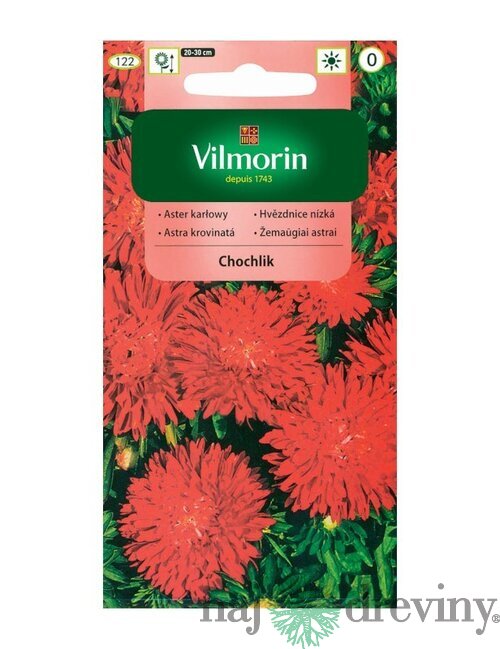 Vilmorin Astrovka čínska semiačka Chochlik