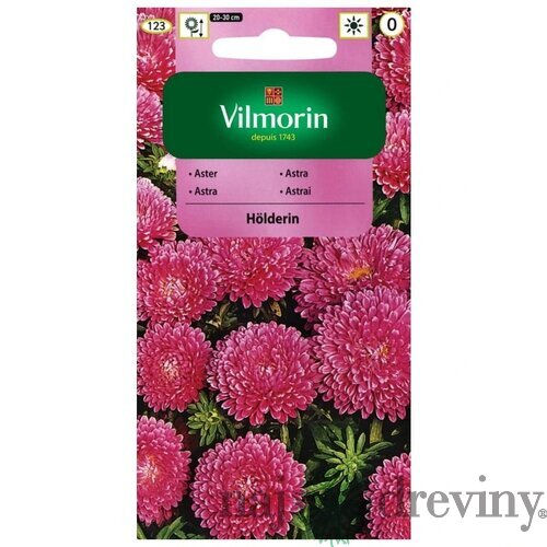Vilmorin Astrovka čínska semiačka Holderlin