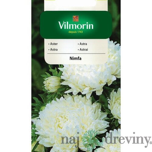 Vilmorin Astrovka čínska semiačka Nimfa