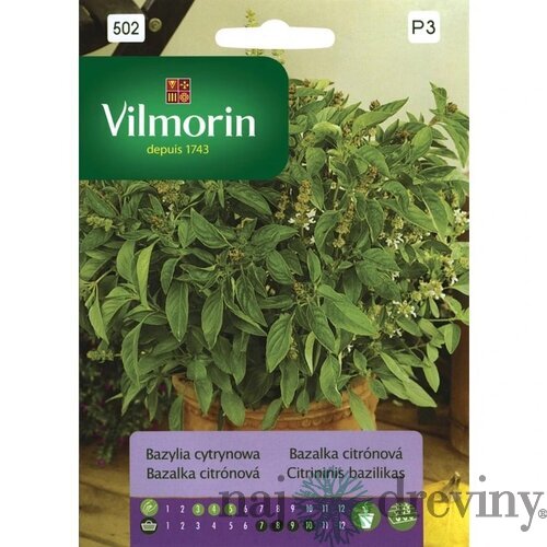 Vilmorin Bazalka citrónová 0.5 g