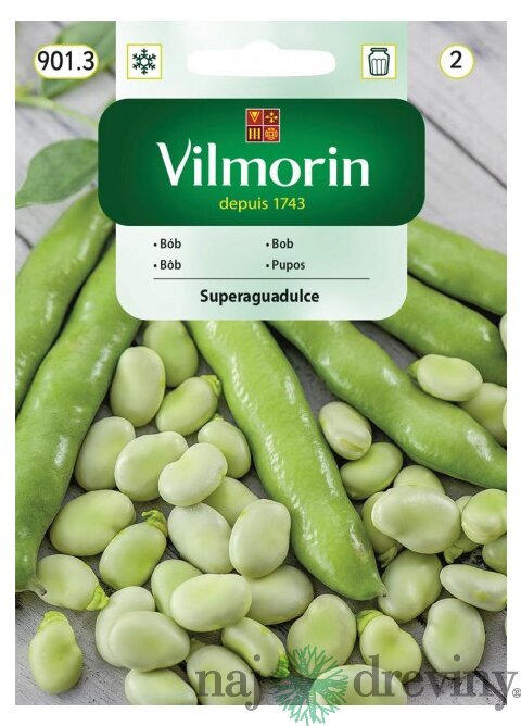 Vilmorin Bôb Superguadulce 40 g