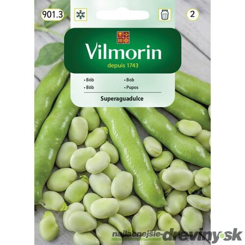 Vilmorin Bôb Superguadulce 40 g